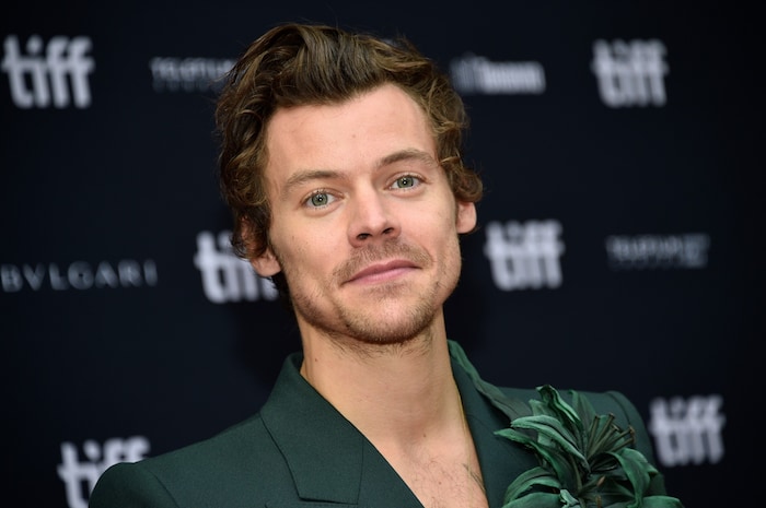 Harry Styles hat das Herz von Zoë Kravitz im Sturm erobert.