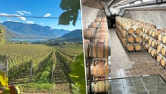 Am schönen Kalterersee (links): Der größte Barriquefässer-Keller von Südtirol ist in Kaltern. 