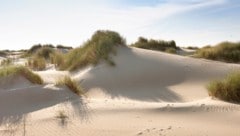2004 wurde in den Dünen nahe Wassenaar eine tote Frau gefunden.