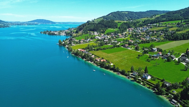 Der Wirt vom Attersee kommentierte einen Beitrag der ZIB.