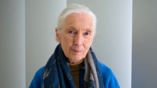 Im März wurde das Interview mit Jane Goodall für die Reihe „Famous Last Words“ von Netflix ...
