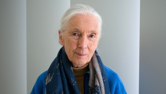Im März wurde das Interview mit Jane Goodall für die Reihe „Famous Last Words“ von Netflix ...