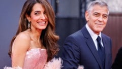 Glamour pur: Amal Clooney stiehlt Ehemann George bei der „Jay Kelly“-Premiere in London mit ...
