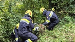 Einsatz für die Spezialkräfte der Feuerwehr Bruck