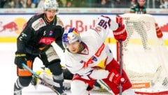 Für Lucas Thaler (re.) und seine Eisbullen gab‘s Sonntag einen Sieg in Wien.