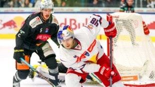 Für Lucas Thaler (re.) und seine Eisbullen gab‘s Sonntag einen Sieg in Wien.