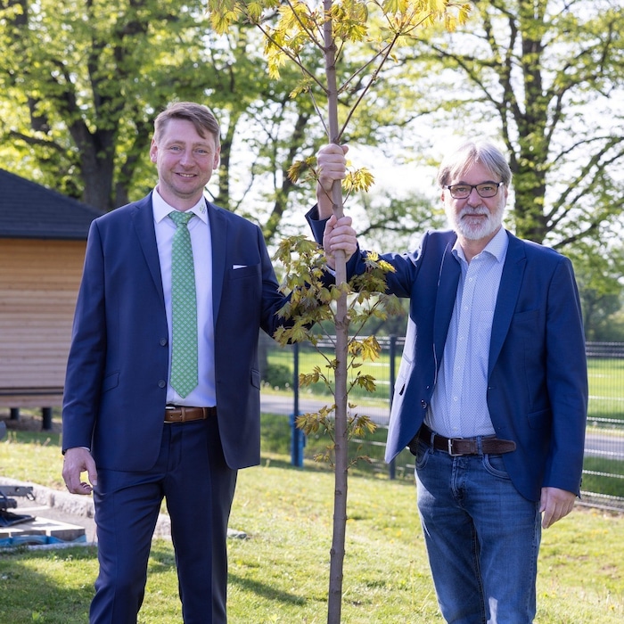 Wurzeln schlagen fürs Klima: 40.000 Bäume haben Michael Oberfeichtner und Markus Tuider auf der ...