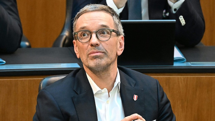 FPÖ-Chef Herbert Kickl streift mehr als ein Viertel der Bundesförderungen für seine Partei ein.