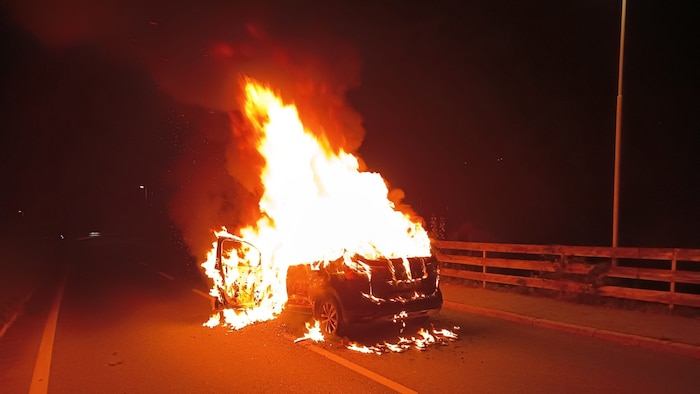 Das Fahrzeug stand binnen weniger Minuten in Vollbrand. Die Feuerwehr Wenns konnte den Brand ...