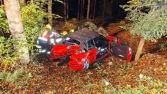 Der Wagen landete im Wald.