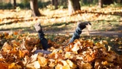 Die Sonne ist in der kommenden Woche zumindest zeitweise zu Gast.