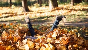 Die Sonne ist in der kommenden Woche zumindest zeitweise zu Gast.
