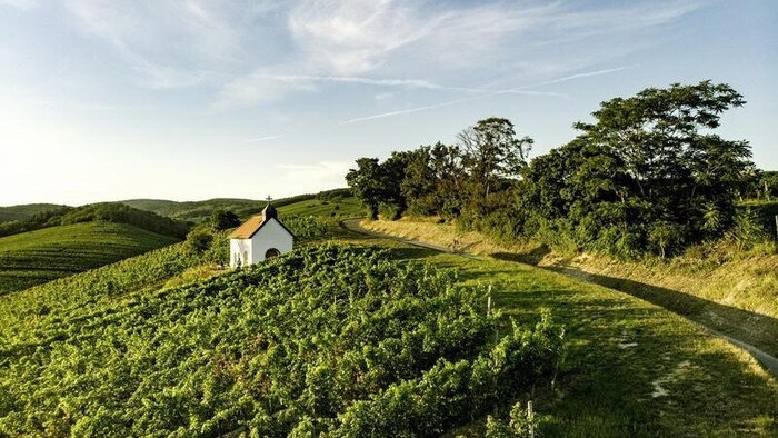 Die Franziskuskapelle im Blaufränkischland.