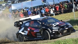 Achtfach-Weltmeister Sebastien Ogier lockte Tausende Rallyefans ins Waldviertel. 