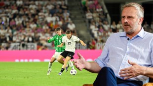 Didi Hamann warnt vor einer Rache der Nordiren.