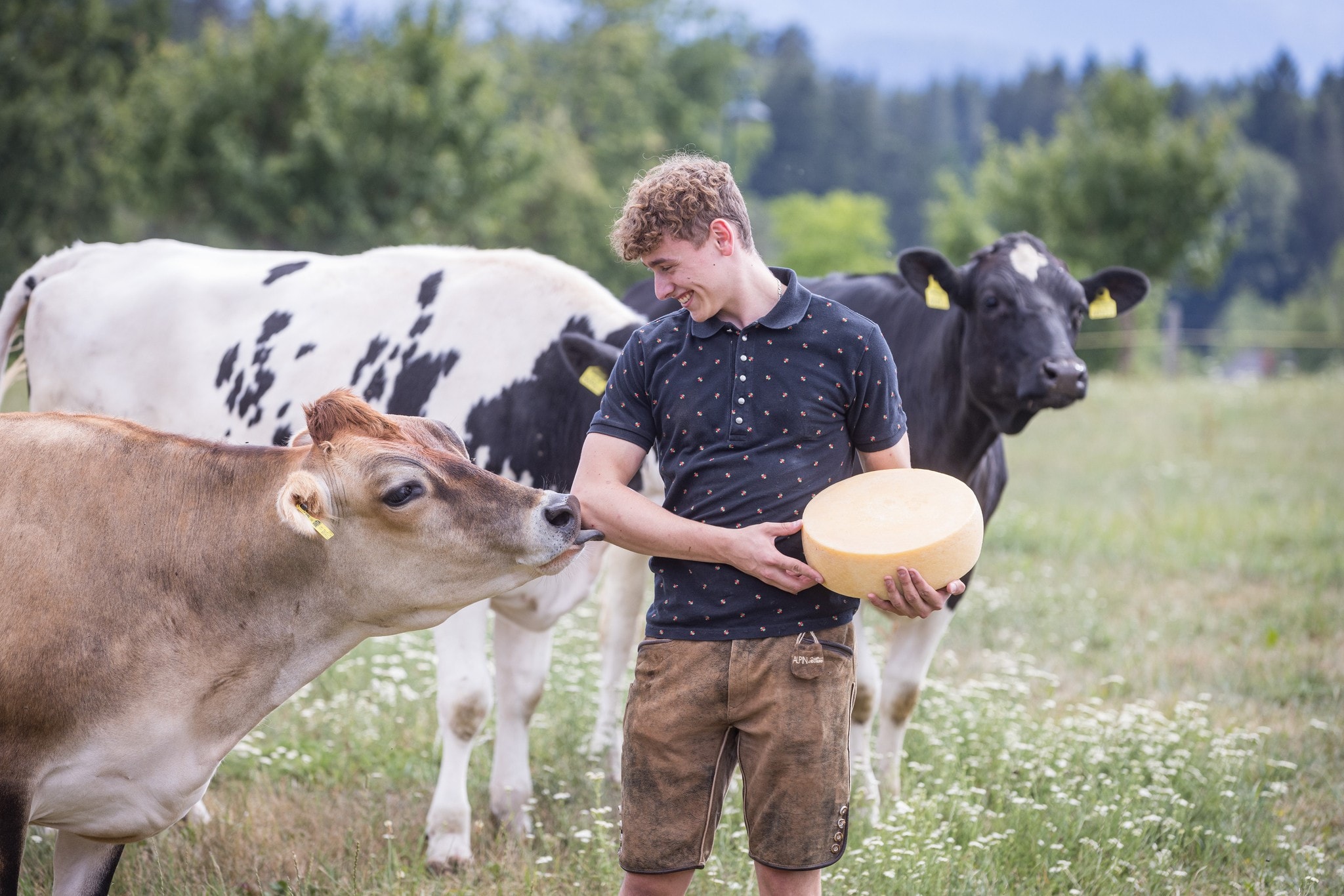 Die Milch selbst veredeln war die Idee am Windischhof.