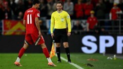 Wales-Stürmer Brennan Johnson musste eine Ratte vom Feld scheuchen. 