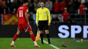 Wales-Stürmer Brennan Johnson musste eine Ratte vom Feld scheuchen. 