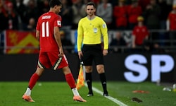 Wales-Stürmer Brennan Johnson musste eine Ratte vom Feld scheuchen. 