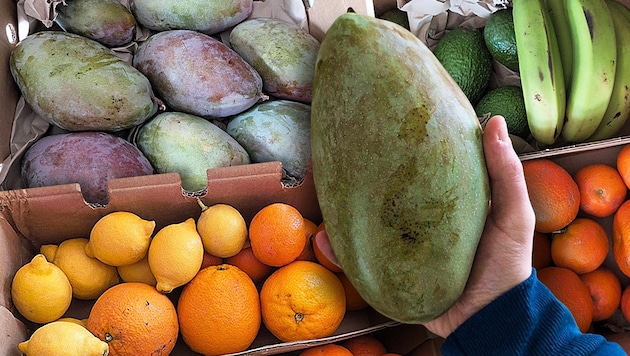 Die EU-Mango kommt mit der Post aus Spanien.