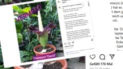 Auf Instagram berichtet der Botanische Garten über den Diebstahl.