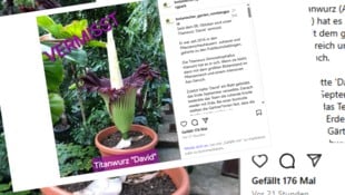 Auf Instagram berichtet der Botanische Garten über den Diebstahl.