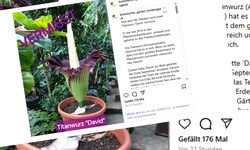 Auf Instagram berichtet der Botanische Garten über den Diebstahl.