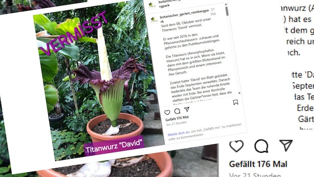 Auf Instagram berichtet der Botanische Garten über den Diebstahl.