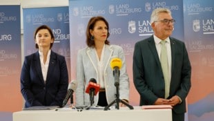 Svazek, Edtstadler, Schwaiger.