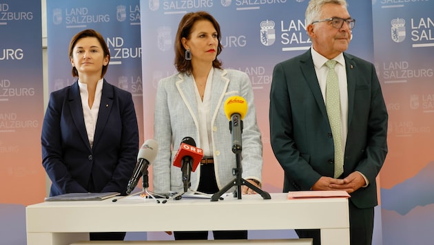Svazek, Edtstadler, Schwaiger.