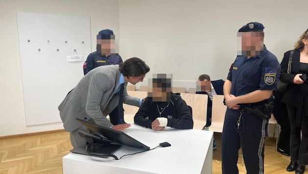 Am Dienstag musste sich die junge Frau vor den Schöffen verantworten. Verteidigt von Anwalt ...