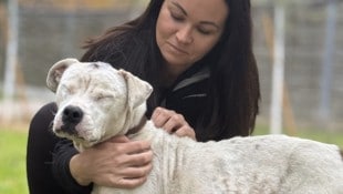 Brutal misshandelt kämpft „Aurora“, hier mit Arche-Sprecherin Katharina Gründl, jetzt im ...