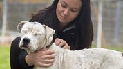 Brutal misshandelt kämpft „Aurora“, hier mit Arche-Sprecherin Katharina Gründl, jetzt im ...
