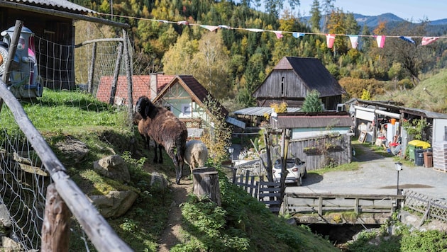 Der Tierpark kann nicht mehr weiterbetrieben werden.