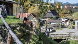 Der Tierpark kann nicht mehr weiterbetrieben werden. 