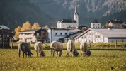 Im Pinzgau, allen voran in Kaprun (Bild), gibt es einen Wildwuchs an Apartments nach dem ...