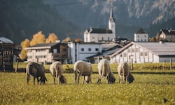 Im Pinzgau, allen voran in Kaprun (Bild), gibt es einen Wildwuchs an Apartments nach dem ...