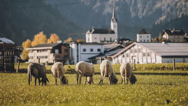 Im Pinzgau, allen voran in Kaprun (Bild), gibt es einen Wildwuchs an Apartments nach dem ...