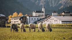 Im Pinzgau, allen voran in Kaprun (Bild), gibt es einen Wildwuchs an Apartments nach dem ...