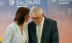 Schwaiger liegt derzeit im Krankenhaus, Edtstadler übernimmt seine Agenden.