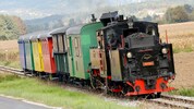 Seit 133 Jahren ist der Stainzer Flascherlzug auf Schiene. 