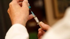 Durch die FSME-Impfung konnten viele Spitalsaufenthalte verhindert werden. Die Fachleute ...