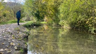 Bei einem Lokalaugenschein in Villach-Warmbad legte Gerald P. seine Bedenken zum geplanten ...