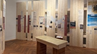 Die Ausstellung „Hinschauen! Poglejmo“ im Kärntner Landesmuseum war Teil des Erinnerungsjahres ...