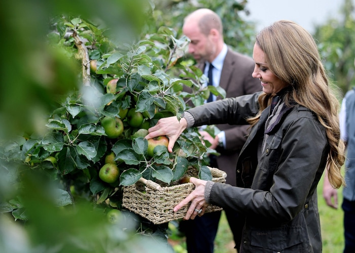 Prinz William und Prinzessin Kate beim Äpfel pflücken.