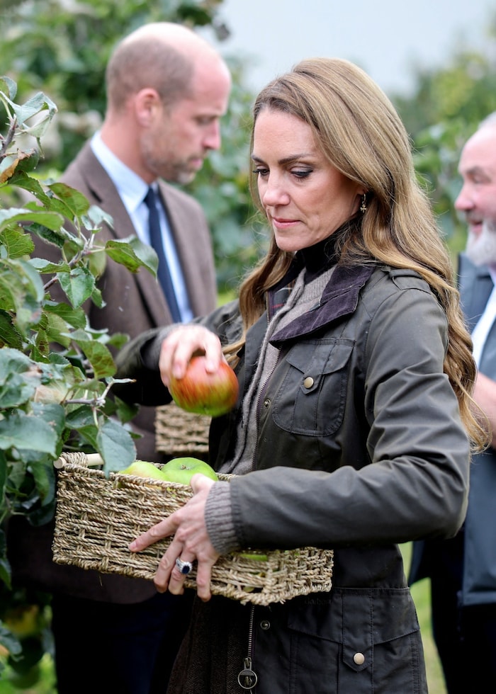 Prinz William und Prinzessin Kate beim Äpfel pflücken.