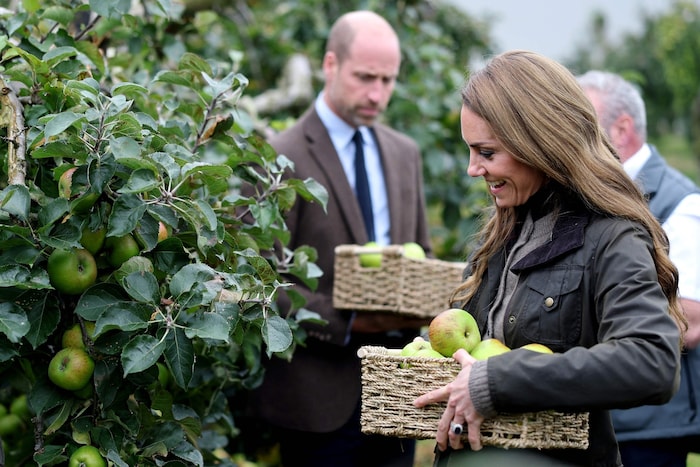 Prinz William und Prinzessin Kate beim Äpfel pflücken.