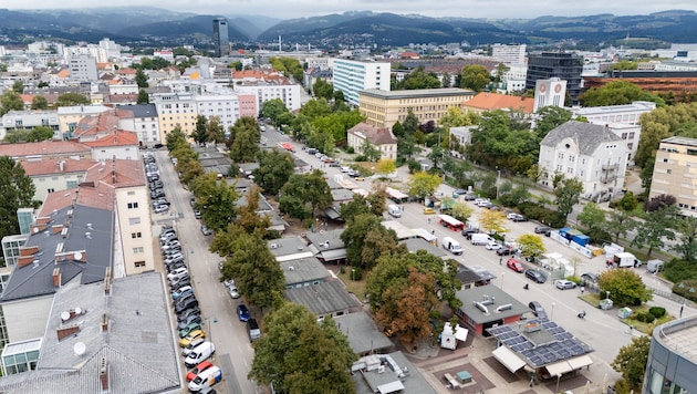 Südbahnhofmarkt digital: Drei farblich markierte Zonen, zwölf Kategorien und eine Einteilung in ...