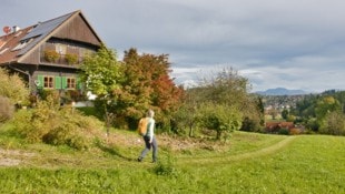 Malerische Bauernhäuser liegen entlang des „Ligister Sch(m)ankerlwegs“.