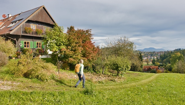 Malerische Bauernhäuser liegen entlang des „Ligister Sch(m)ankerlwegs“.
